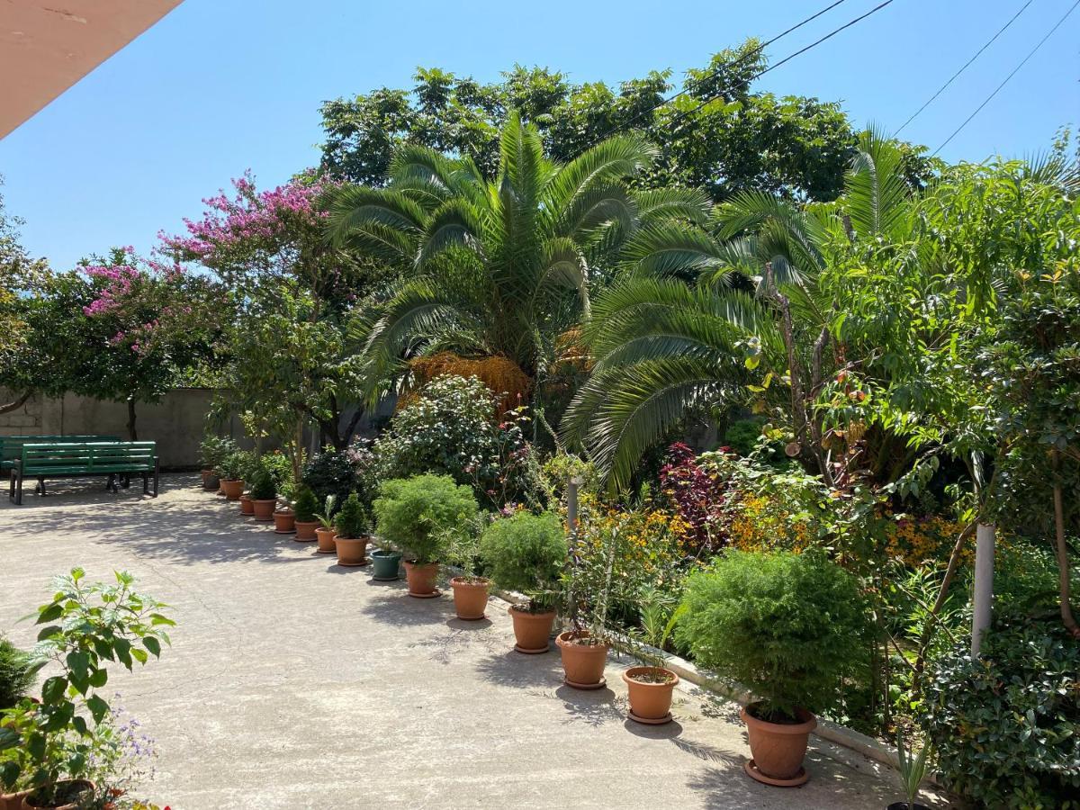 Villa Jakos Paradise Μπατούμι Εξωτερικό φωτογραφία
